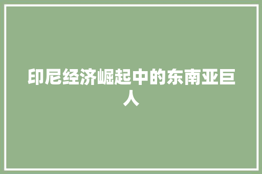 印尼经济崛起中的东南亚巨人 印尼经济崛起中的东南亚巨人