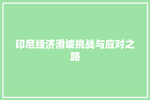 印尼经济滑坡挑战与应对之路 印尼经济滑坡挑战与应对之路