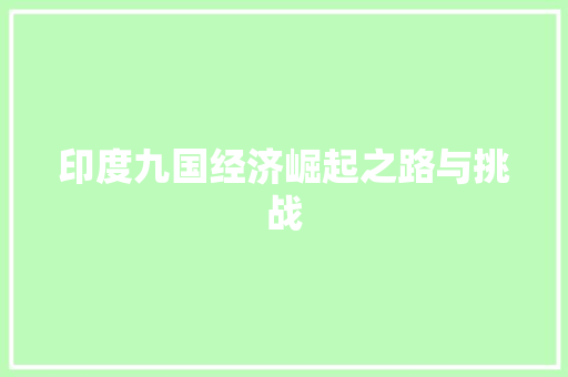 印度九国经济崛起之路与挑战 印度九国经济崛起之路与挑战