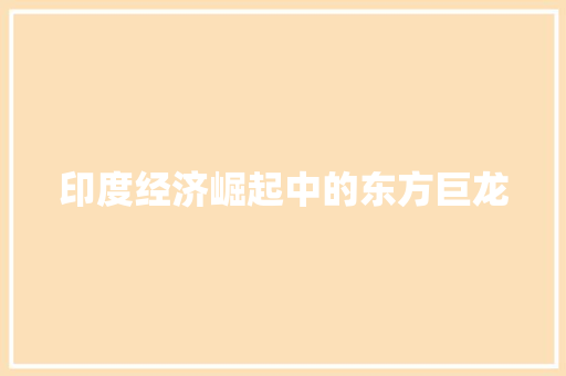 印度经济崛起中的东方巨龙 印度经济崛起中的东方巨龙