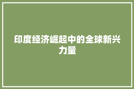 印度经济崛起中的全球新兴力量 印度经济崛起中的全球新兴力量