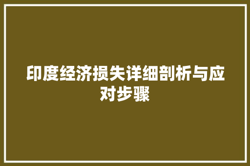 印度经济损失详细剖析与应对步骤 印度经济损失详细剖析与应对步骤