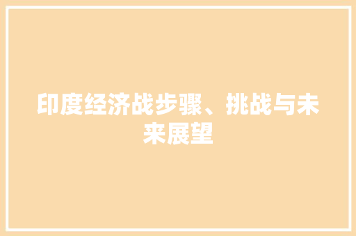 印度经济战步骤、挑战与未来展望 印度经济战步骤、挑战与未来展望