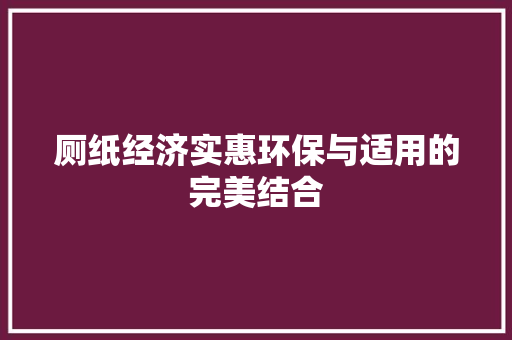 厕纸经济实惠环保与适用的完美结合 厕纸经济实惠环保与适用的完美结合
