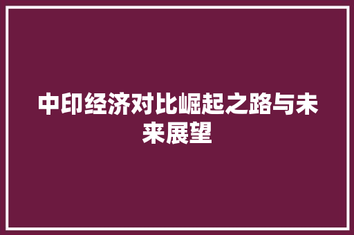 中印经济对比崛起之路与未来展望 中印经济对比崛起之路与未来展望