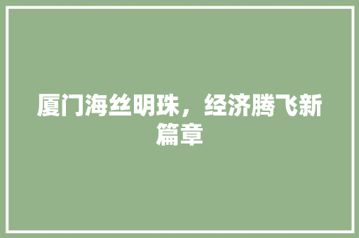 厦门海丝明珠，经济腾飞新篇章