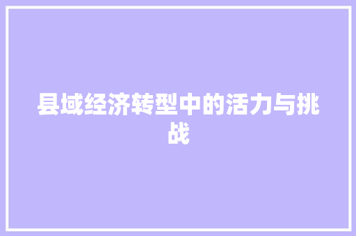 县域经济转型中的活力与挑战 县域经济转型中的活力与挑战
