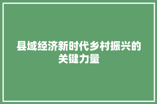 县域经济新时代乡村振兴的关键力量 县域经济新时代乡村振兴的关键力量