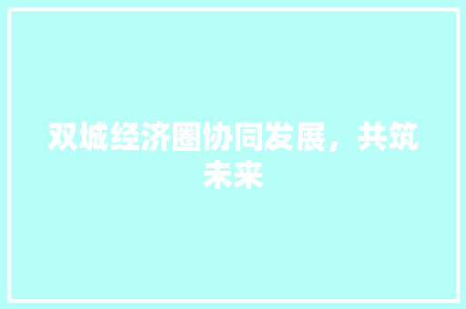 双城经济圈协同发展,共筑未来 双城经济圈协同发展,共筑未来