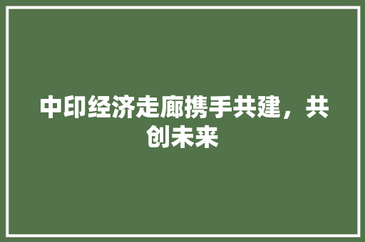 中印经济走廊携手共建,共创未来 中印经济走廊携手共建,共创未来