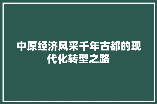 中原经济风采千年古都的现代化转型之路 中原经济风采千年古都的现代化转型之路