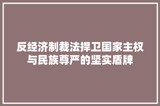 反经济制裁法捍卫国家主权与民族尊严的坚实盾牌 反经济制裁法捍卫国家主权与民族尊严的坚实盾牌