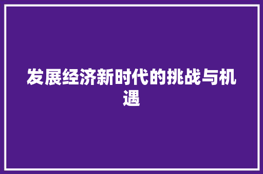 发展经济新时代的挑战与机遇