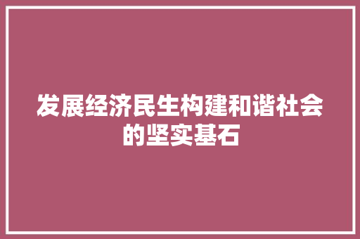 发展经济民生构建和谐社会的坚实基石 发展经济民生构建和谐社会的坚实基石
