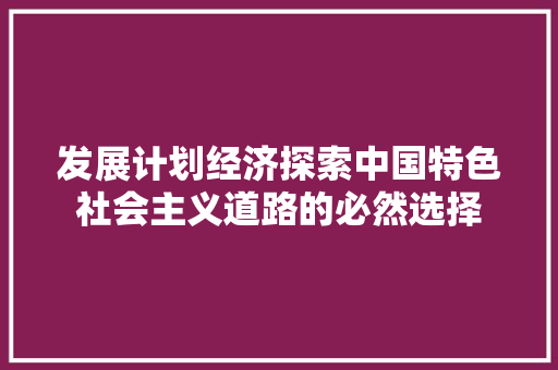 发展计划经济探索中国特色社会主义道路的必然选择