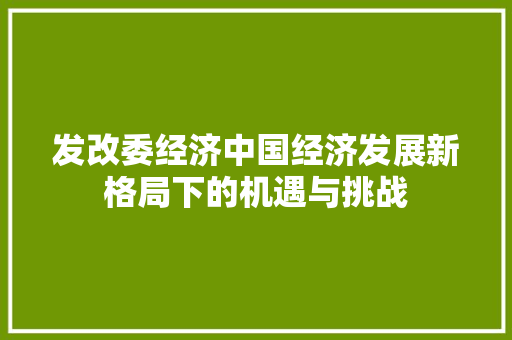 发改委经济中国经济发展新格局下的机遇与挑战 发改委经济中国经济发展新格局下的机遇与挑战