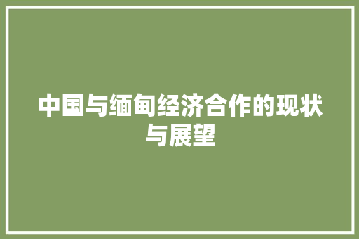 中国与缅甸经济合作的现状与展望 中国与缅甸经济合作的现状与展望