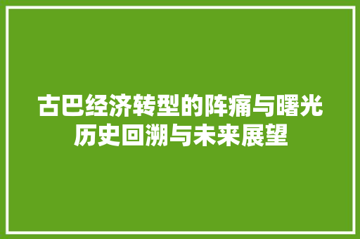 古巴经济转型的阵痛与曙光历史回溯与未来展望 古巴经济转型的阵痛与曙光历史回溯与未来展望