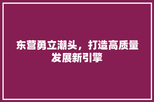 东营勇立潮头,打造高质量发展新引擎 东营勇立潮头,打造高质量发展新引擎