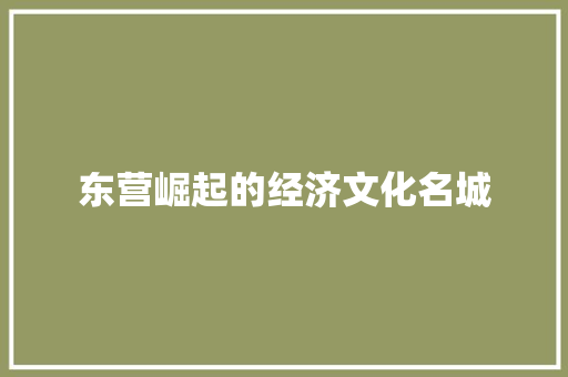 东营崛起的经济文化名城 东营崛起的经济文化名城