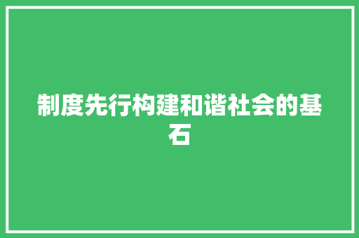 制度先行构建和谐社会的基石 制度先行构建和谐社会的基石