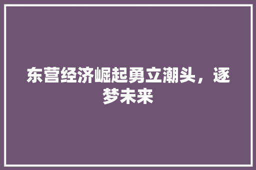 东营经济崛起勇立潮头,逐梦未来 东营经济崛起勇立潮头,逐梦未来