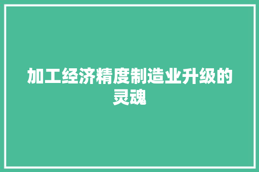 加工经济精度制造业升级的灵魂 加工经济精度制造业升级的灵魂