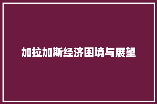 加拉加斯经济困境与展望 加拉加斯经济困境与展望