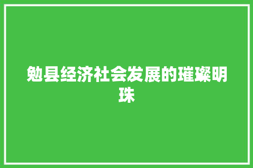 勉县经济社会发展的璀璨明珠 勉县经济社会发展的璀璨明珠