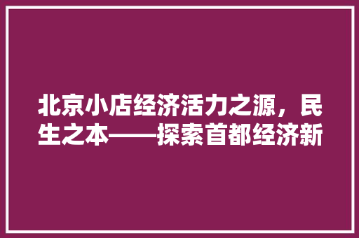 北京小店经济活力之源,民生之本——探索首都经济新亮点 北京小店经济活力之源,民生之本——探索首都经济新亮点