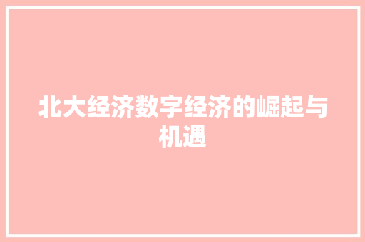 北大经济数字经济的崛起与机遇