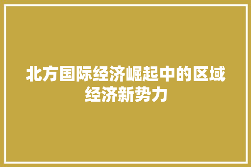 北方国际经济崛起中的区域经济新势力 北方国际经济崛起中的区域经济新势力
