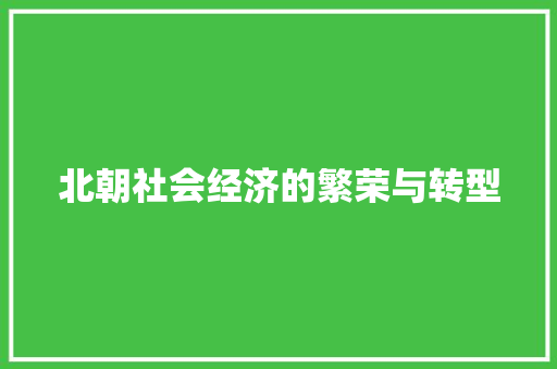 北朝社会经济的繁荣与转型 北朝社会经济的繁荣与转型