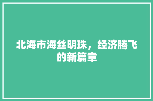北海市海丝明珠,经济腾飞的新篇章 北海市海丝明珠,经济腾飞的新篇章