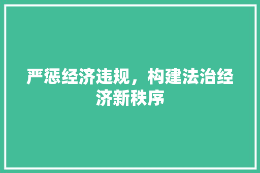 严惩经济违规,构建法治经济新秩序 严惩经济违规,构建法治经济新秩序