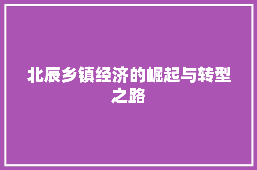 北辰乡镇经济的崛起与转型之路 北辰乡镇经济的崛起与转型之路