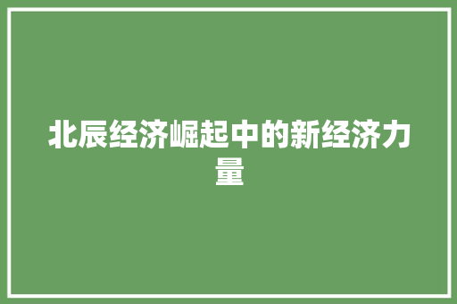 北辰经济崛起中的新经济力量 北辰经济崛起中的新经济力量