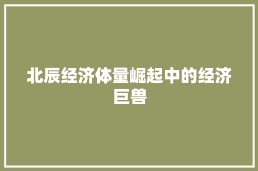 北辰经济体量崛起中的经济巨兽 北辰经济体量崛起中的经济巨兽