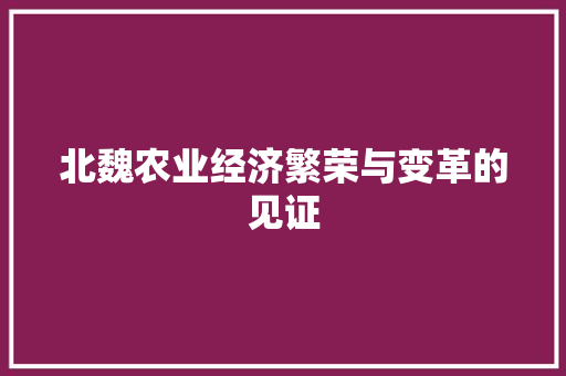 北魏农业经济繁荣与变革的见证 北魏农业经济繁荣与变革的见证