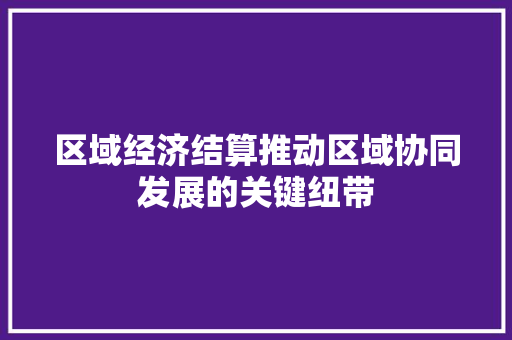 区域经济结算推动区域协同发展的关键纽带 区域经济结算推动区域协同发展的关键纽带