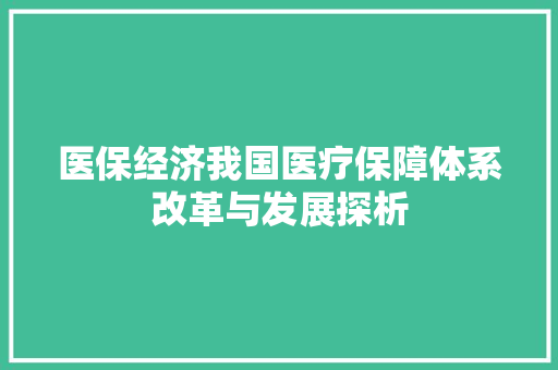 医保经济我国医疗保障体系改革与发展探析 医保经济我国医疗保障体系改革与发展探析