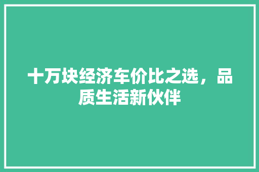 十万块经济车价比之选,品质生活新伙伴 十万块经济车价比之选,品质生活新伙伴