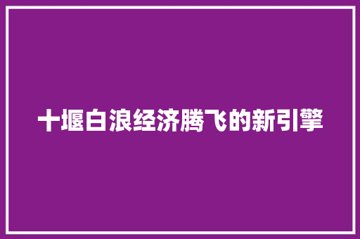十堰白浪经济腾飞的新引擎 十堰白浪经济腾飞的新引擎