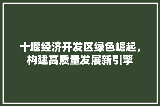 十堰经济开发区绿色崛起,构建高质量发展新引擎 十堰经济开发区绿色崛起,构建高质量发展新引擎