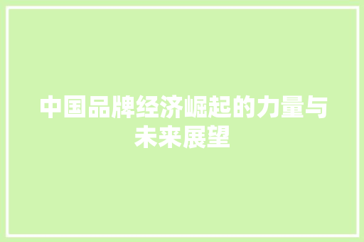 中国品牌经济崛起的力量与未来展望 中国品牌经济崛起的力量与未来展望