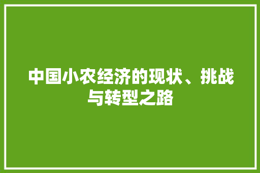 中国小农经济的现状、挑战与转型之路 中国小农经济的现状、挑战与转型之路