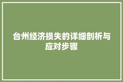 台州经济损失的详细剖析与应对步骤 台州经济损失的详细剖析与应对步骤