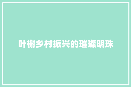 叶榭乡村振兴的璀璨明珠 叶榭乡村振兴的璀璨明珠