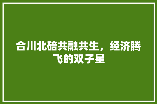 合川北碚共融共生,经济腾飞的双子星 合川北碚共融共生,经济腾飞的双子星