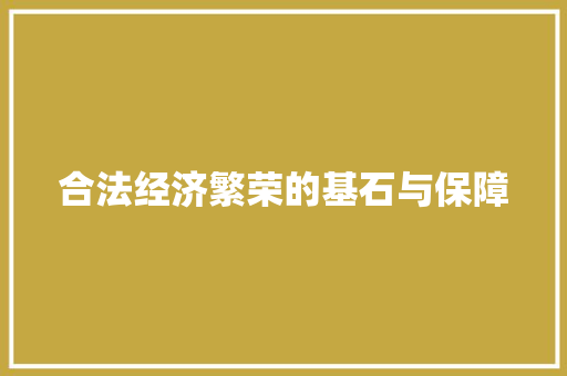 合法经济繁荣的基石与保障 合法经济繁荣的基石与保障